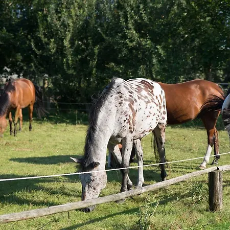 Mq Ranch *